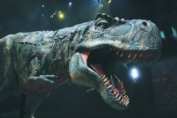 Dinosaurs to walk and roar again